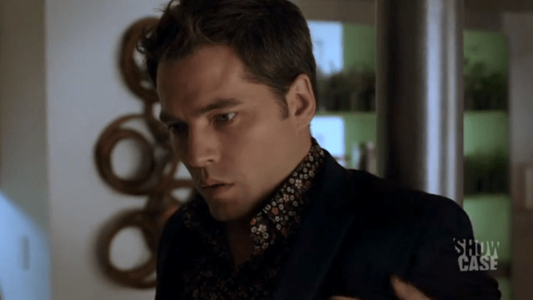 The Druid: Fae or Human