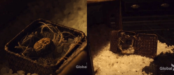 “Absorb the power of the blood mage and the Una Mens will be able to enforce the laws he wrote unchallenged.”