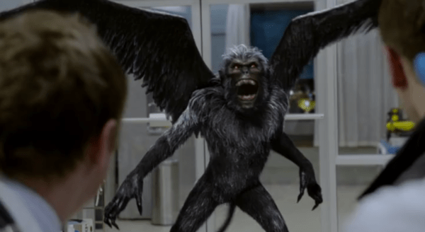 "Don't look at me! I'm a doctor not a vet" - Dr Frankenstein