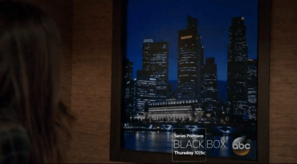 What idea did this picture give Skye?