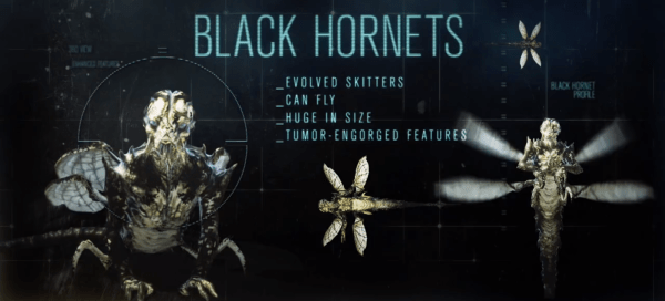 Black Hornets
