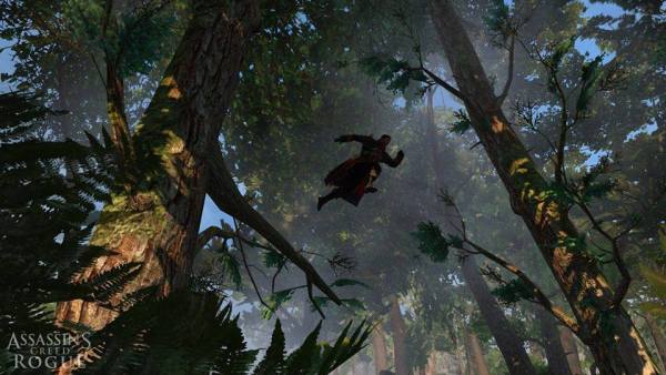 AC Rogue Tree running