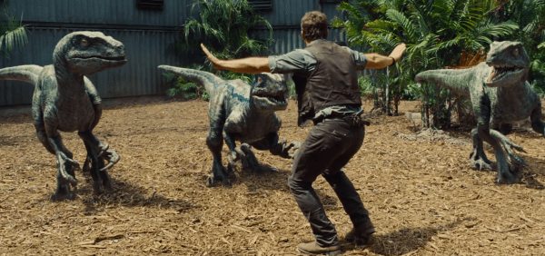 Chris Prat Raptor Training