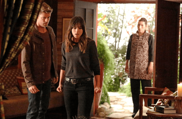 Agents of SHIELD Afterlife