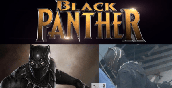 Black Panther Costume